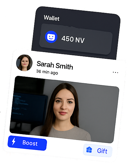 MyNetVerse Platform Preview